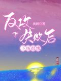 0反攻失败的下场极禹