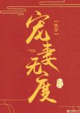 快穿宠妻无度