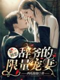 第一初恋,辞爷的限量宠妻 第1章