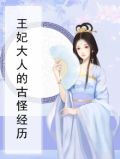王妃大人的古怪经历小说