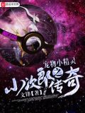 宠物小精灵之小次郎传奇文峰