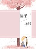 情深缘浅下一句
