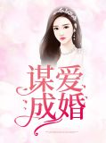 谋爱成婚小说免费阅读