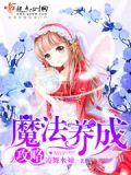 魔法养成攻略