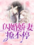 闪婚娇妻花样宠 小说