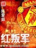 红叛军陈爱庭TXT下载