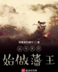 从今天开始做藩王百度百科