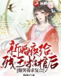 大婚当夜给残废王爷做手术小说