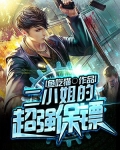 二小姐的超级保镖