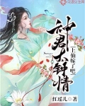 神君太钟情:上仙嫁了吧小说