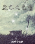盘龙之光暗之雷 小说
