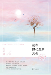 藏在回忆里的风景讲的什么