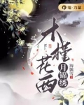 木槿花西月锦绣讲的什么内容