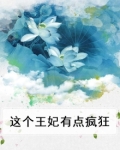 这个王妃有点疯狂