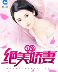 我的绝美娇妻小秋小说阅读
