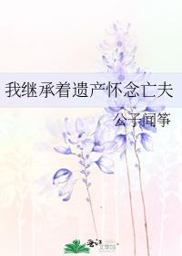 我继承着遗产怀念亡夫免费阅读小说