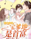 闪婚宠妻三宝爹地是首富