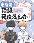 老婆是顶级Alpha，我该怎么办