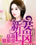 新妻上岗，总裁，狠狠爱！
