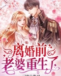 一胎二宝:离婚前,老婆重生了免费